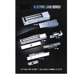 Electric Lock Series